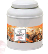 TEMPO DELLE PROVVISTE